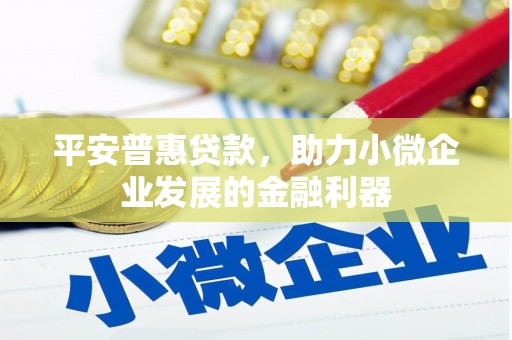 君山平安普惠贷款，助力小微企业发展的金融利器
