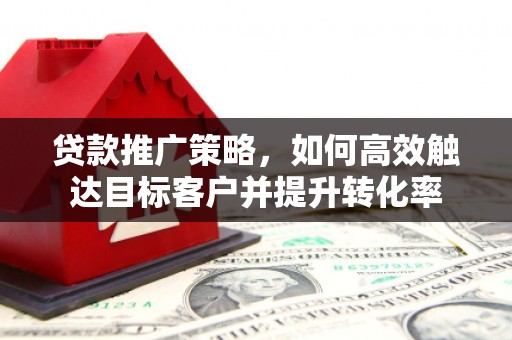君山贷款推广策略，如何高效触达目标客户并提升转化率