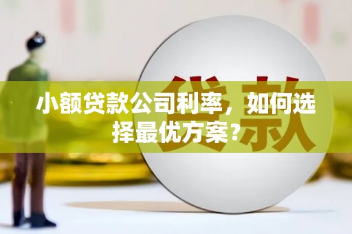 君山小额贷款公司利率，如何选择最优方案？