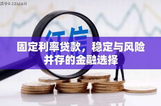 君山固定利率贷款，稳定与风险并存的金融选择