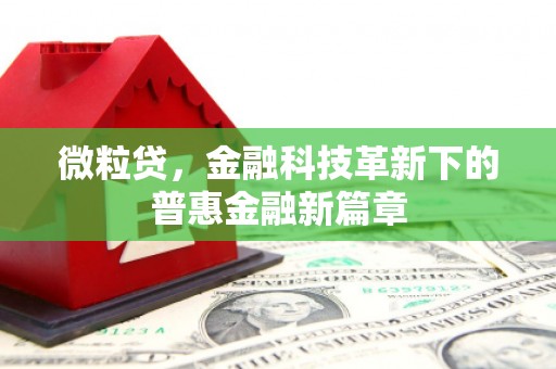 君山微粒贷，金融科技革新下的普惠金融新篇章