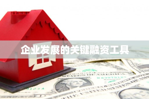 君山企业发展的关键融资工具