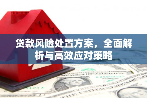 君山贷款风险处置方案，全面解析与高效应对策略