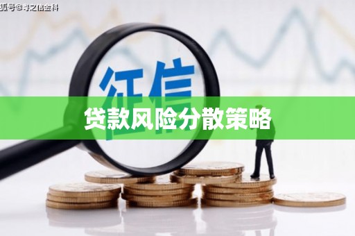 君山贷款风险分散策略