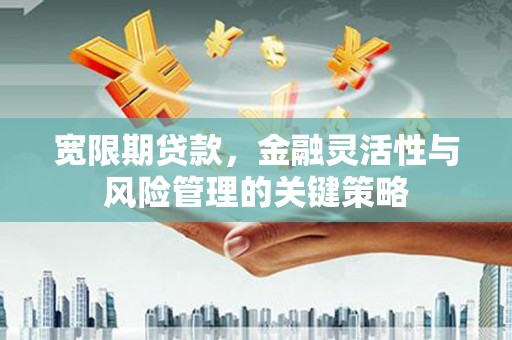 君山宽限期贷款，金融灵活性与风险管理的关键策略
