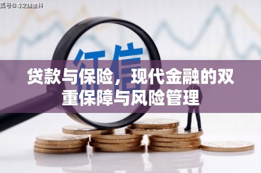 君山贷款与保险，现代金融的双重保障与风险管理