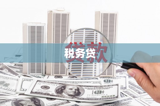 君山税务贷