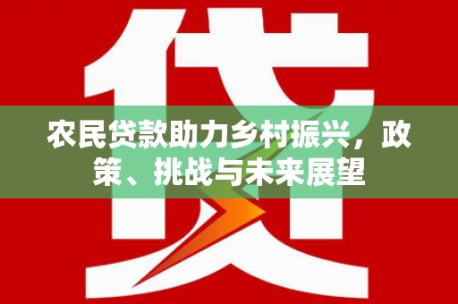君山农民贷款助力乡村振兴，政策、挑战与未来展望