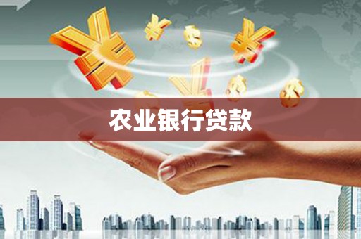 君山农业银行贷款