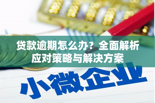 君山贷款逾期怎么办？全面解析应对策略与解决方案