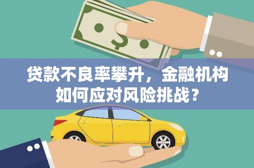 君山贷款不良率攀升，金融机构如何应对风险挑战？