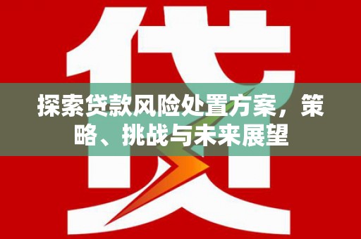 君山探索贷款风险处置方案，策略、挑战与未来展望