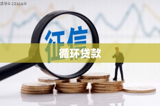 君山循环贷款