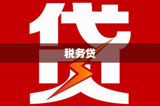 君山税务贷