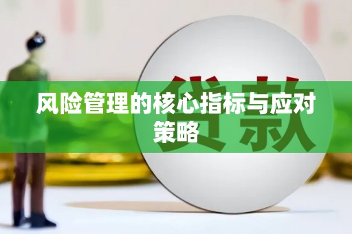 君山风险管理的核心指标与应对策略