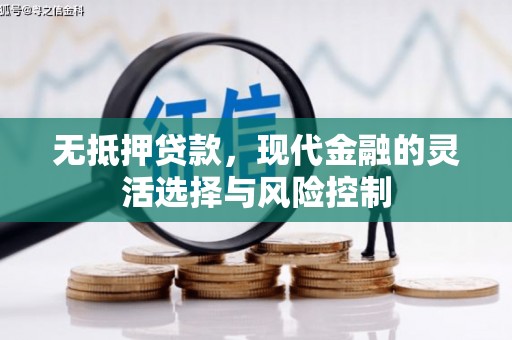 君山无抵押贷款，现代金融的灵活选择与风险控制
