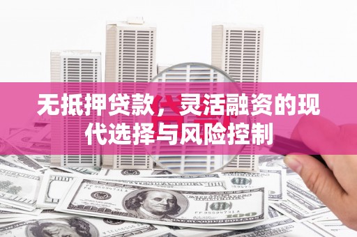 君山无抵押贷款，灵活融资的现代选择与风险控制