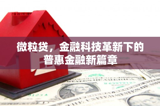 君山微粒贷，金融科技革新下的普惠金融新篇章