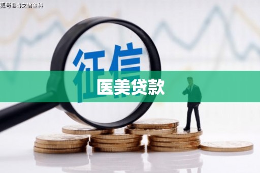 君山医美贷款