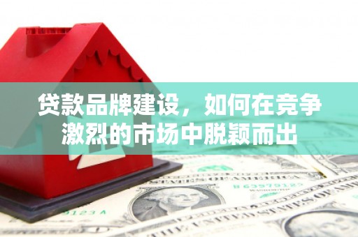 君山贷款品牌建设，如何在竞争激烈的市场中脱颖而出
