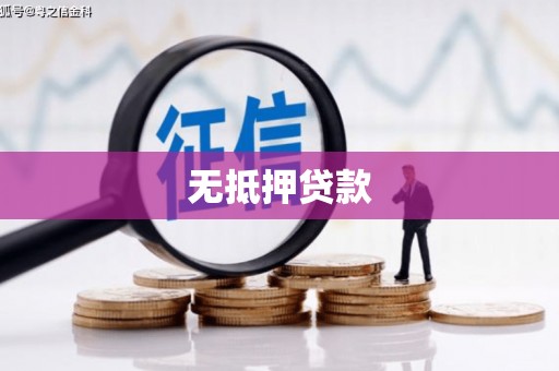 君山无抵押贷款