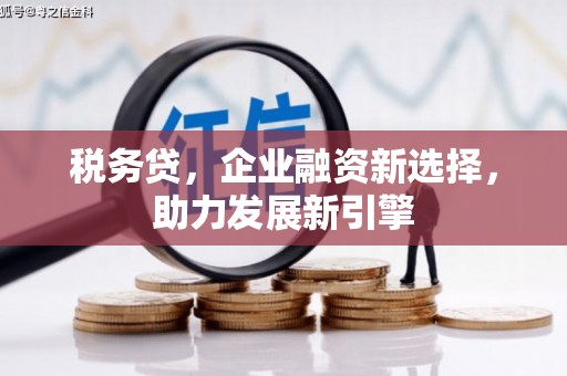 君山税务贷，企业融资新选择，助力发展新引擎