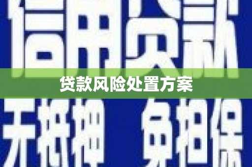 君山贷款风险处置方案