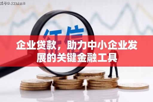 君山企业贷款，助力中小企业发展的关键金融工具