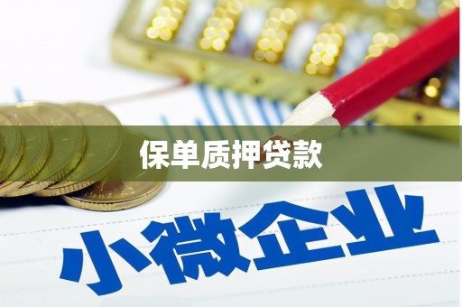君山保单质押贷款