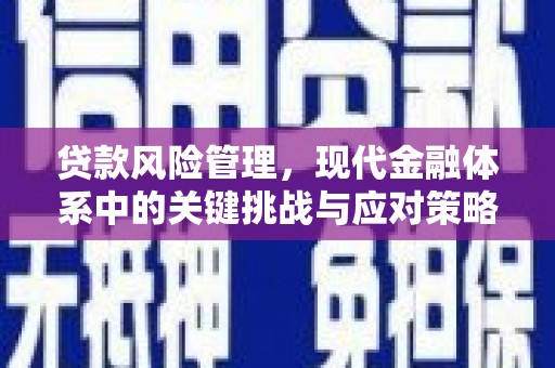 君山贷款风险管理，现代金融体系中的关键挑战与应对策略