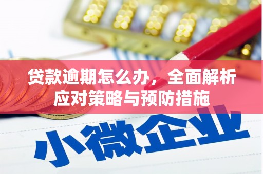 君山贷款逾期怎么办，全面解析应对策略与预防措施