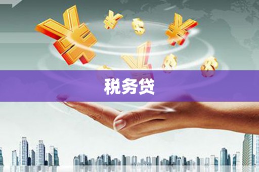 君山税务贷