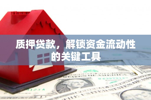 君山质押贷款，解锁资金流动性的关键工具