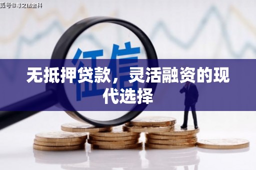 君山无抵押贷款，灵活融资的现代选择