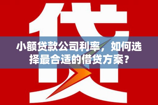 君山小额贷款公司利率，如何选择最合适的借贷方案？