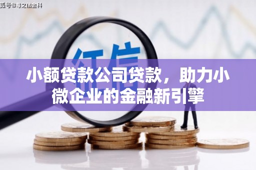 君山小额贷款公司贷款，助力小微企业的金融新引擎