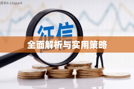 君山全面解析与实用策略