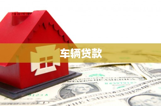 君山车辆贷款