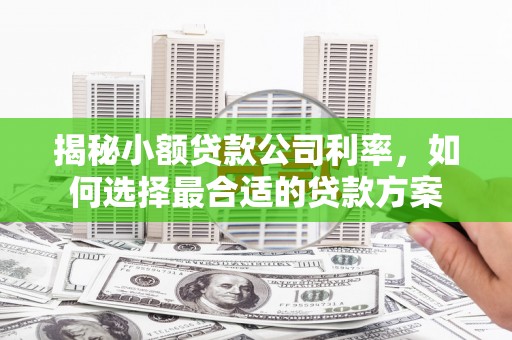 君山揭秘小额贷款公司利率，如何选择最合适的贷款方案