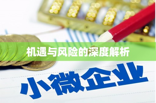 君山机遇与风险的深度解析