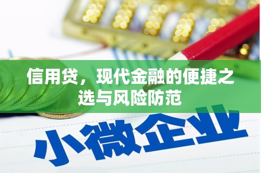 君山信用贷，现代金融的便捷之选与风险防范