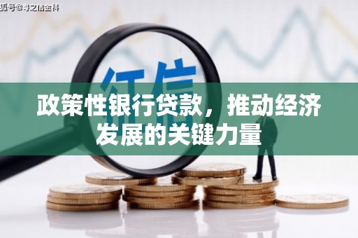君山政策性银行贷款，推动经济发展的关键力量