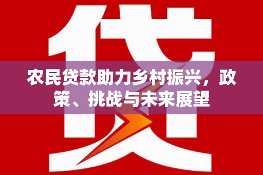 君山农民贷款助力乡村振兴，政策、挑战与未来展望