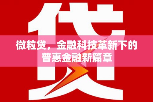 君山微粒贷，金融科技革新下的普惠金融新篇章