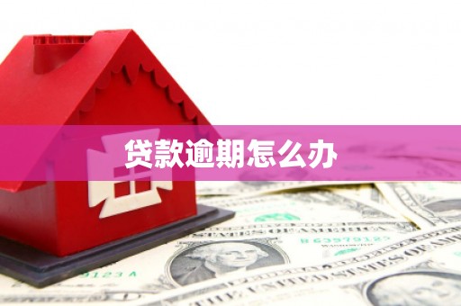 君山贷款逾期怎么办