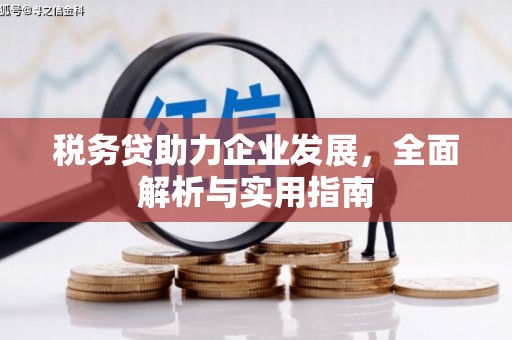 君山税务贷助力企业发展，全面解析与实用指南
