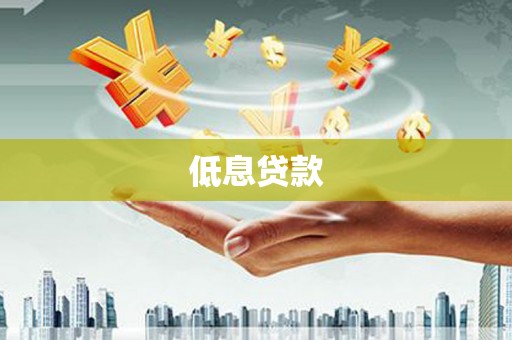 君山低息贷款