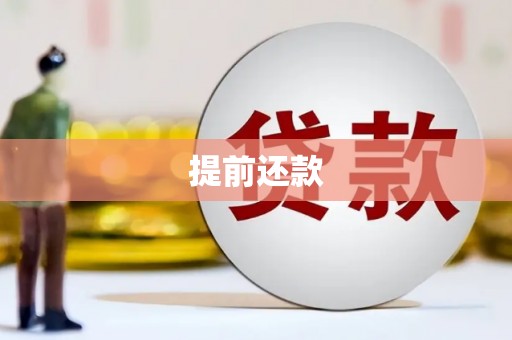 君山提前还款