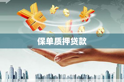 君山保单质押贷款