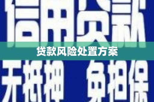 君山贷款风险处置方案